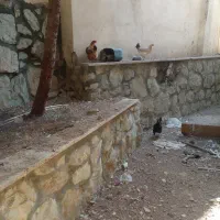 6تامرغ تخمگذار  و 4تاجوجه|حیوانات مزرعه|رودهن, |دیوار