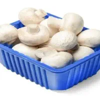 پخش خریدمستقیم قارچ ازکارخانه