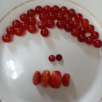 موهره تسبی کامل