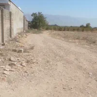 سلام زمین درشهرستان کوار جاده محموداباد|فروش زمین و ملک کلنگی|طسوج, |دیوار