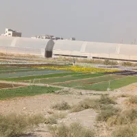 فروش-1500-متر-زمین