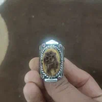 یک عدد انگشتر خواص وکم یاب