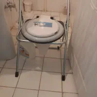 توالت فرنگی