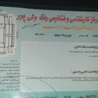 ساینا دنده‌ای S، مدل ۱۴۰۰|خودرو سواری و وانت|علی‌آباد کتول, |دیوار