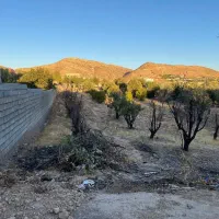 مجموعه قصر سبز زیر نظر جهاد سازندگی|فروش زمین و ملک کلنگی|شیراز, شهرک قمشه|دیوار