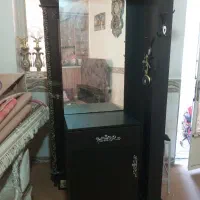 جاکفشی و میز تلوزیون