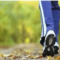 راه برو و پول در بیار