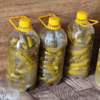 فلفل وخیارشورورشته همدان|خوردنی و آشامیدنی|قم, شهرک فاطمیه|دیوار