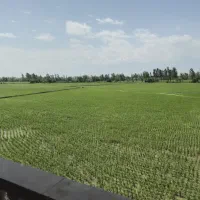 ادمین حرفه ای اینستاگرام