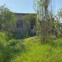 ۲۲۰ متر خونه باغ بین بابل امل احمد چاله پی|فروش زمین و ملک کلنگی|زرگرشهر, |دیوار