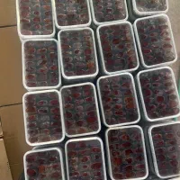 پخش وعرضه انواع خرمادرجه یک .باتضمین قیمت وکیفیت|خوردنی و آشامیدنی|رشت, آب و برق|دیوار