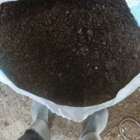 خوراک دامی یا کود مرغ