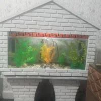 اکواریوم کلبه ای