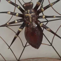 تابلو  عنکبوت|تابلو، نقاشی، عکس|تهران, درکه|دیوار