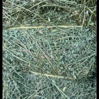 یونجه خشک خشک چین دو