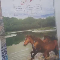 کتاب هشتم و نهم
