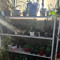 میز با کفی سرامیکی