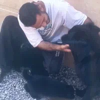 نگهبان فول