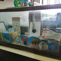 آکواریوم بزرگ و سالم