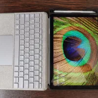 سرفیس گو ۲ حافظه 256 - surface go 2