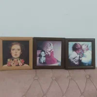 سکه دوزی.گل . تابلو|گل مصنوعی|زاهدان, |دیوار