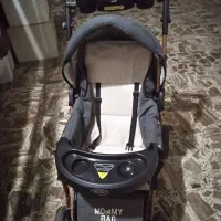 کالسکه برند دلیجان