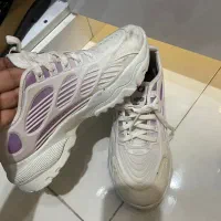 تعدادی کفش نیم بوت و