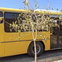 فروش اتوبوس سنددار ۴۵۷ کولردار|خودرو سنگین|مرودشت, ثبت احوال|دیوار