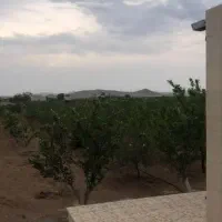 باغ ۳۵۰۰ متر بنا دار سند تک برگ درخت بارده ۶ ساله|فروش خانه و ویلا|شهریار, شهرک شاهد|دیوار