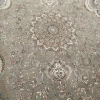 فرش ۱۲متری در حد نو رنگ نسکافه ای|فرش|بندرعباس, |دیوار