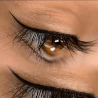 آفر ویژه ٪۵۰خدمات آرایش دائم|خدمات آرایشگری و زیبایی|یزد, |دیوار