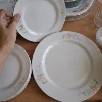 ظروف چینی و میوه خوری|ظروف سرو و پذیرایی|اصفهان, وحید|دیوار
