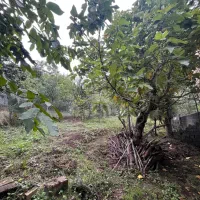 فروش زمین ۳۶۵ متر