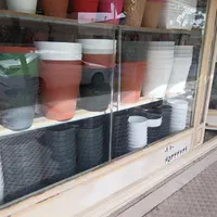 گلدان ایرپات گلدان گلخانه|گل و گیاه طبیعی|تهران, خاوران|دیوار