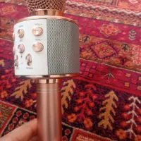 میکروفن|سیستم صوتی خانگی|نیشابور, سرآب کوشک|دیوار