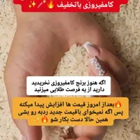 برنج نو اصل کامفیروز از تولید به مصرف|خوردنی و آشامیدنی|شیراز, شیخ روزبهان|دیوار