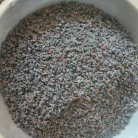 مویز درجه یک انگور شرابی|خوردنی و آشامیدنی|فسا, |دیوار