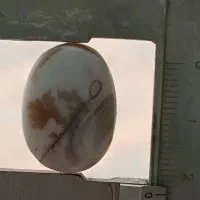 سنگ شجر شجر تک درخت|جواهرات|سلماس, |دیوار