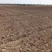 اجاره-زمین