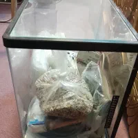 آکواریوم|ماهی|قم, شاه احمد قاسم|دیوار