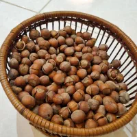 فندق خشک ، مغز فندق خشک|خوردنی و آشامیدنی|رشت, دیلمان|دیوار