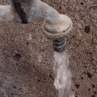 دامداری در نصراباد|فروش خانه و ویلا|نصر آباد, |دیوار