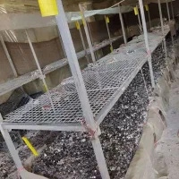 قفسه پرورش قارچ