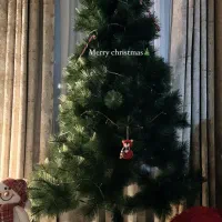 درخت کریسمس خارجی