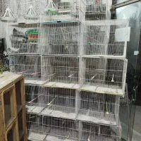 قفس جفتگاهی یا 50سانتی