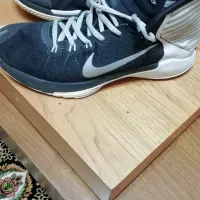 کتانی والیبال نایک