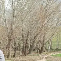 زمین-باغ-فروشی
