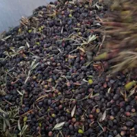 روغن زیتون فرابکر.تازه|خوردنی و آشامیدنی|طارم, |دیوار