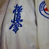 لباس کاراته کیوکوشین پسرانه|لباس|اندیشه, اندیشه فاز ۲|دیوار