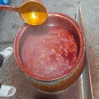رب خانگی